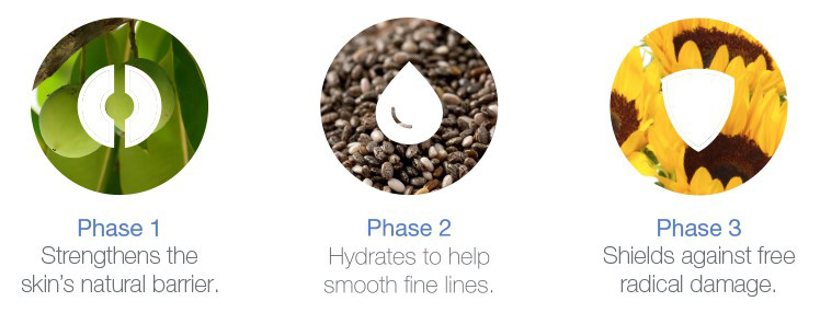 phyto oil phases