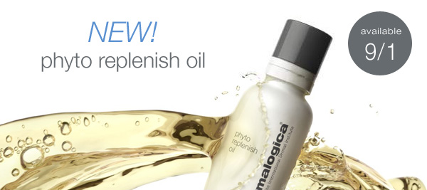 phyto replenish oil from dermalogica